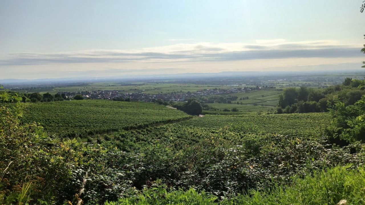 Hotel Speeter Weisenheim am Berg Zewnętrze zdjęcie